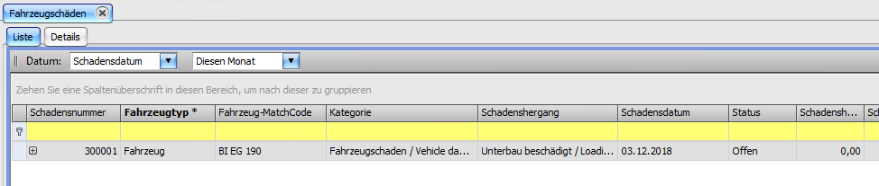 Release Veroeffentliche Releases Neu in Version 8.8.26 Schaden fuer Fahrzeuge erfassen (CR 153205)image2018-12-3 16 24 49.png