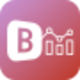 icon-bi-final.svg